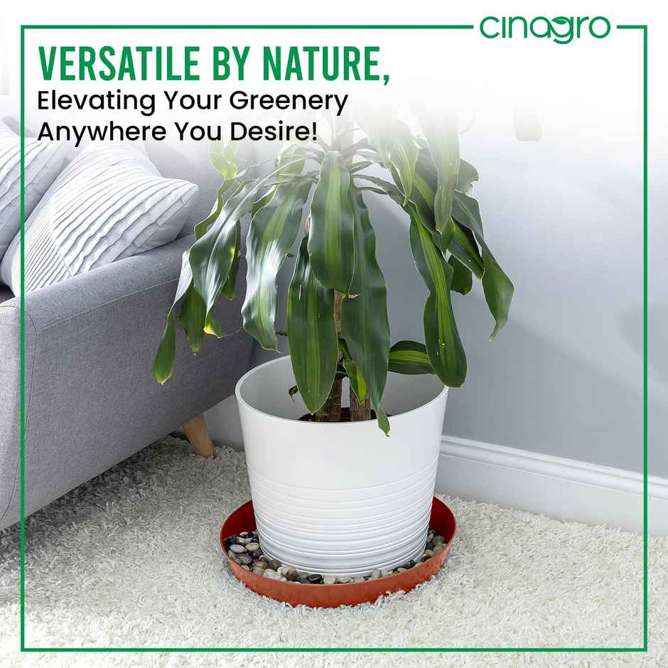 Cinagro 6 Inch Planter Bottom Trays | Durable Plastic | Plant Drip Trays/Saucer