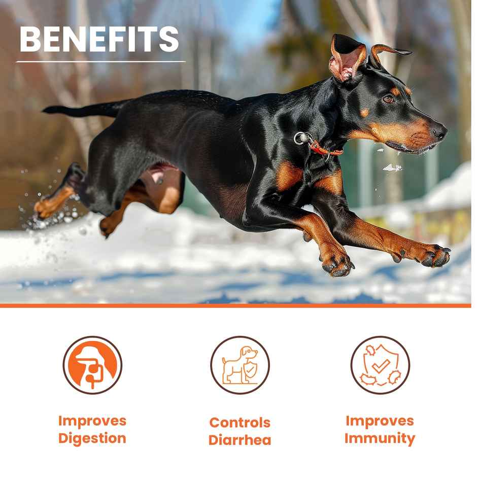 LICKICIOUS Pre and Probiotics Sachets - Gut Health & Digestion for Dogs & Cats