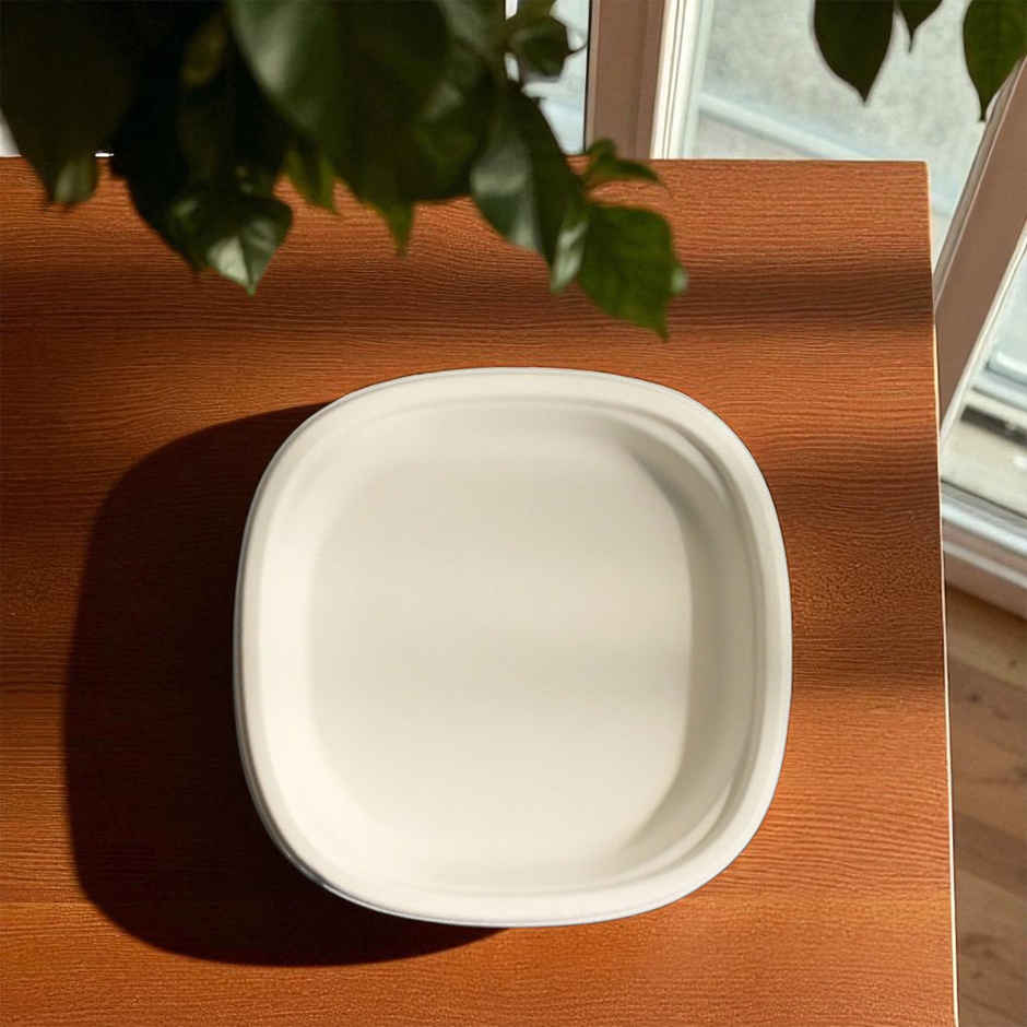 Paper Plate | 6 inch | Careswipe