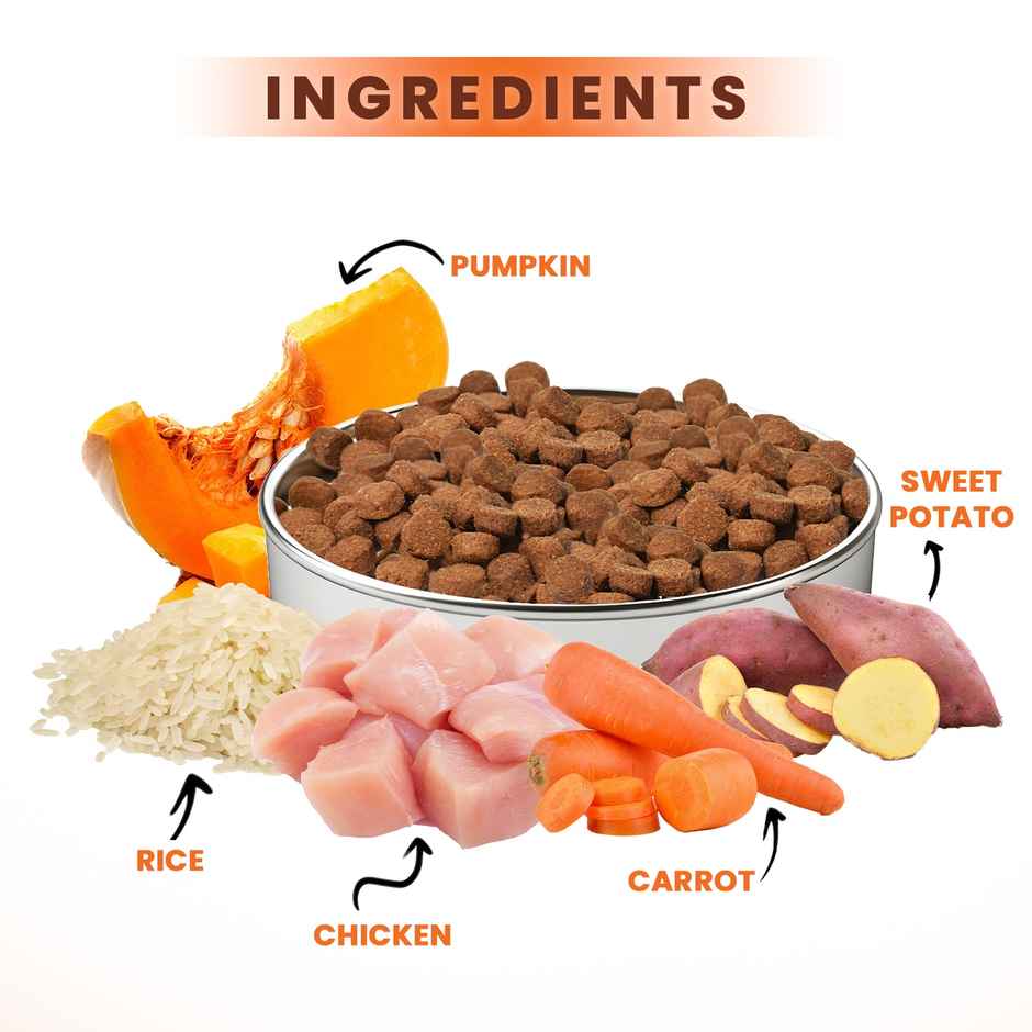 LICKICIOUS Adult Dog Chicken & VEGetable | Dry Dog FOOD