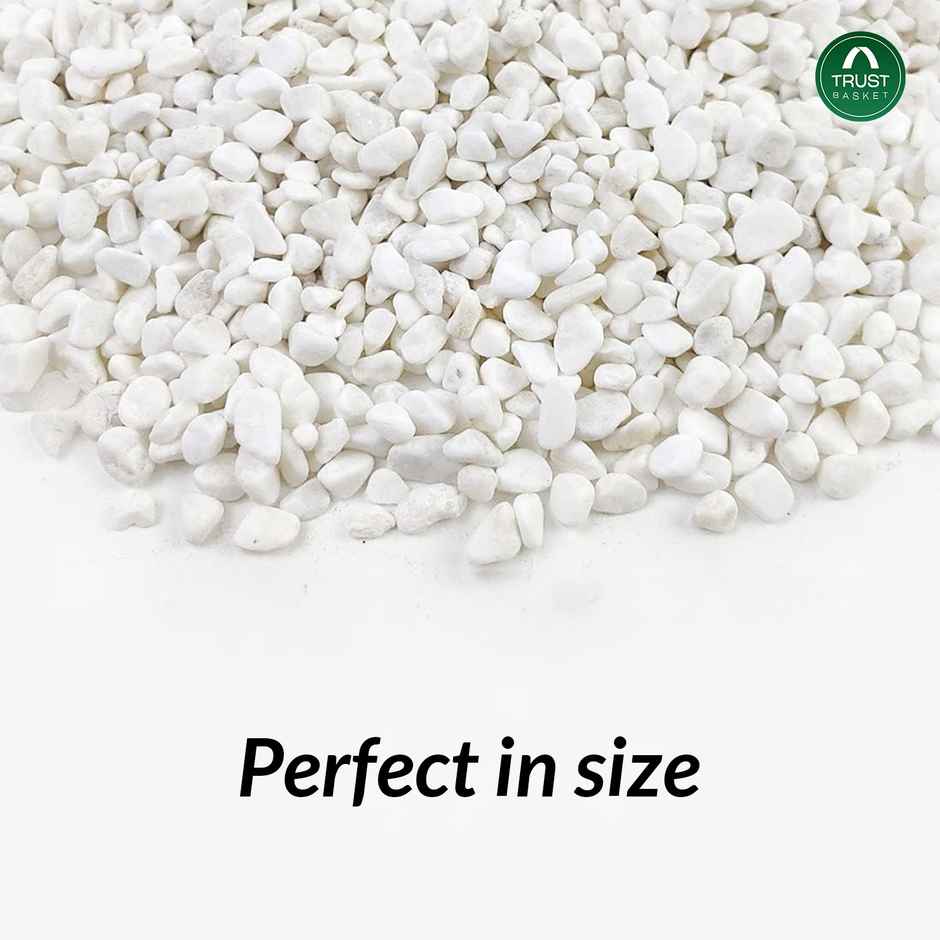 Trustbasket White Pebble Chips (Small) - 1 Kg
