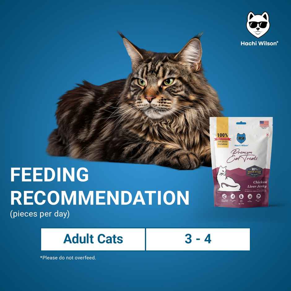 Hachi Wilson Cat Treat - Chicken Crunchies