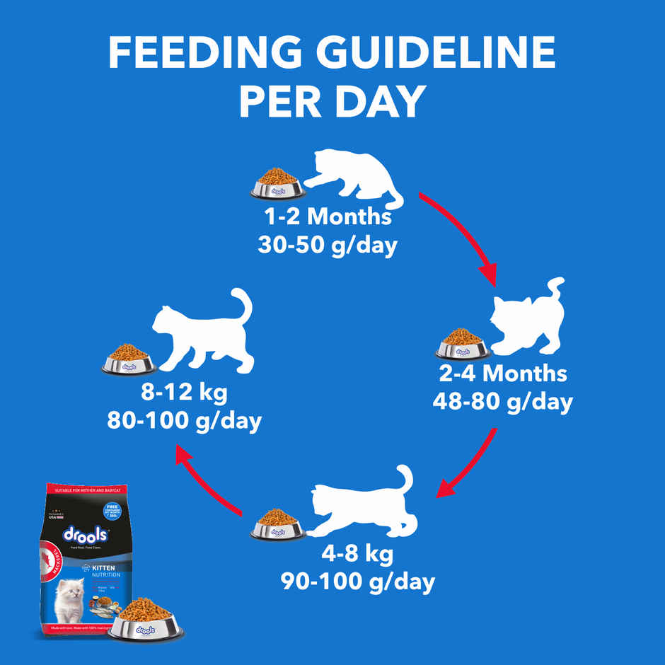 Drools Kitten | 1-12 Months Dry Cat Food, Mackerl, With Free Container