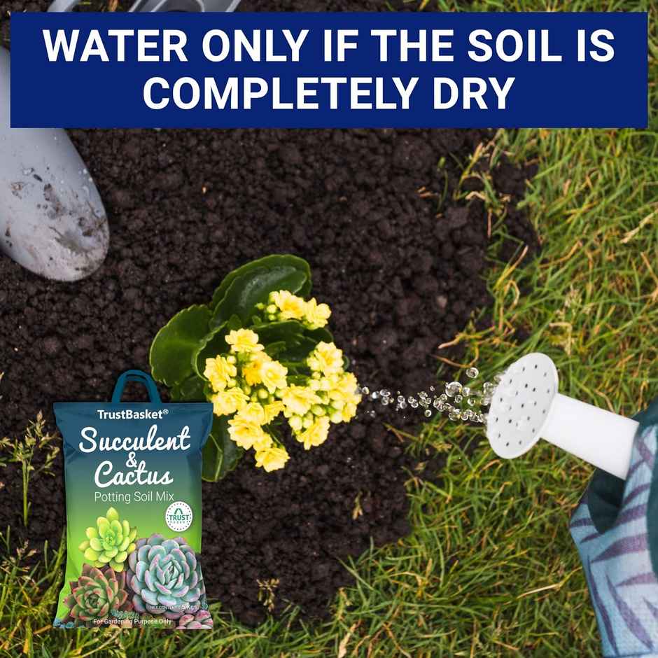 TrustBasket Succulent Potting Mix | Well-Drained Soil for Cactus, Pots & Planters