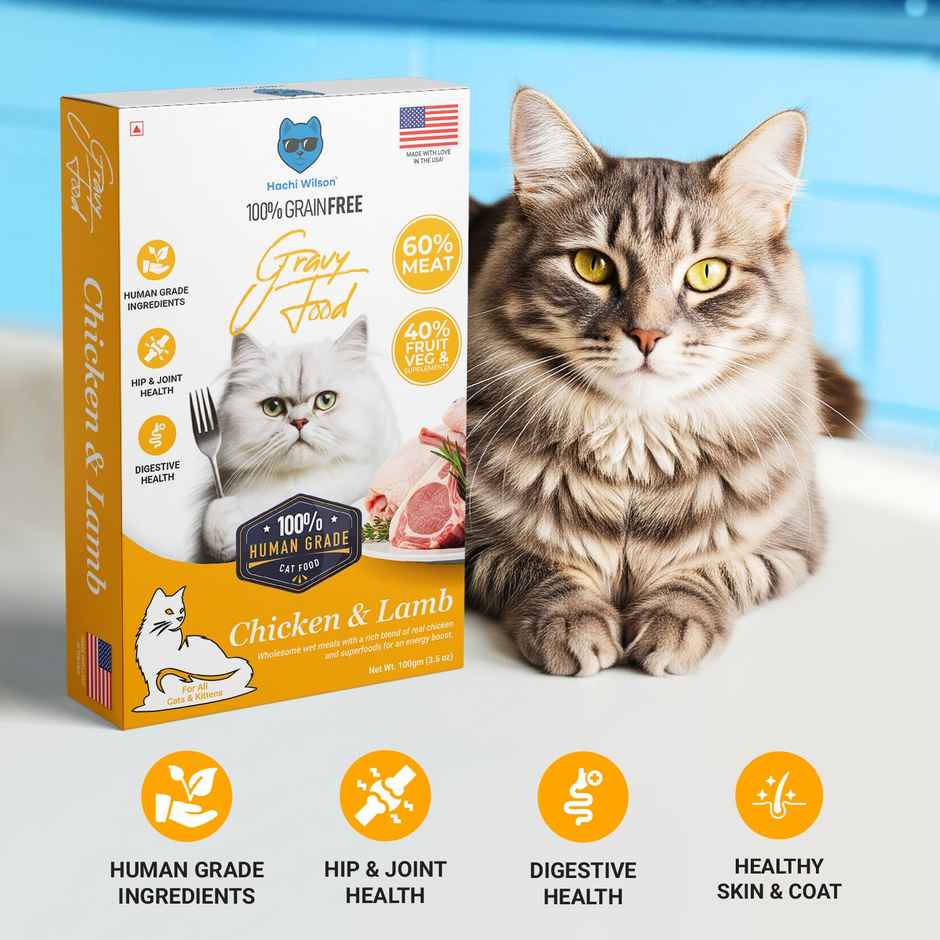 Hachi wilson Premium Chicken and Lamb Gravy Cat Food