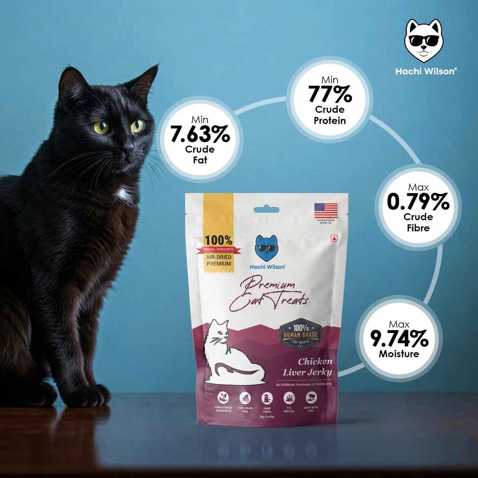 Hachi Wilson Cat Treat - Chicken Crunchies