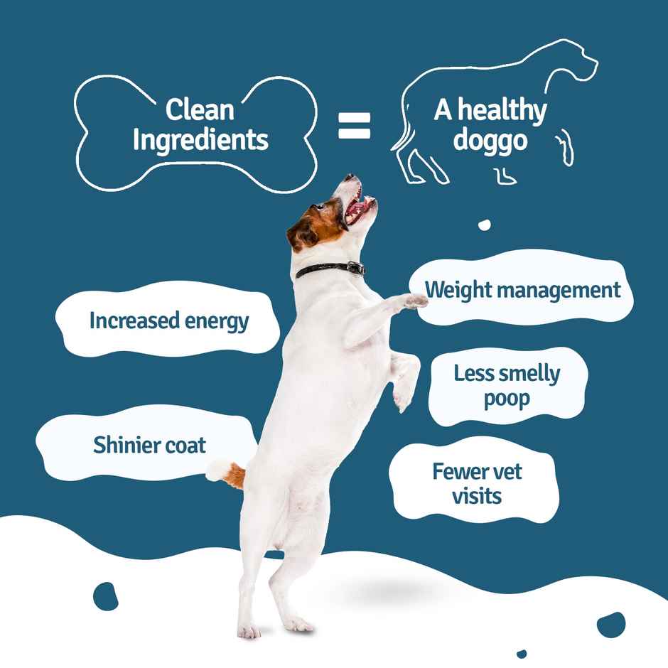 BLEP 100% Natural Dog Food | Chicken Rice Trial Pack | 5 Packs | Zero Preservatives