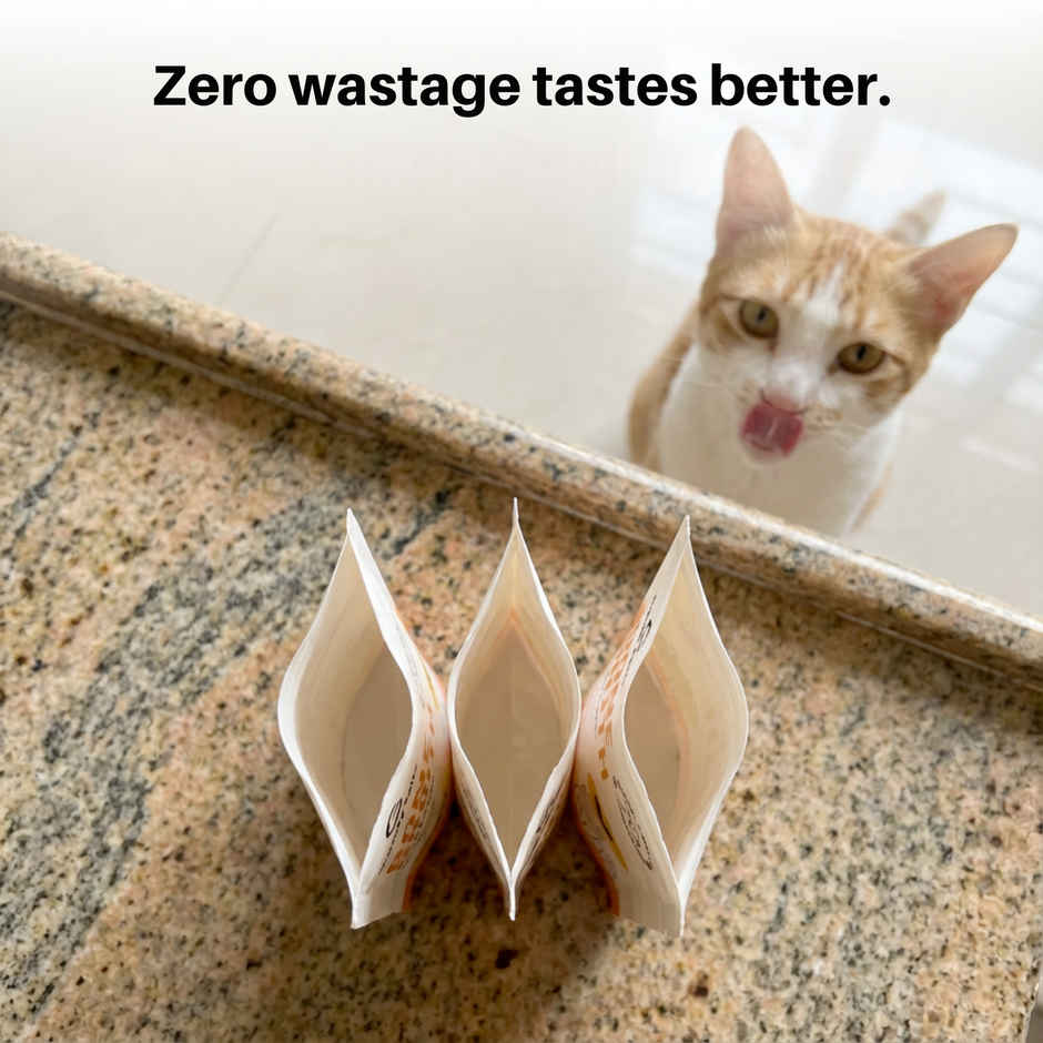 Goofy Tails Chicken Bone Broth for Cats | Collagen Rich Cat and Kitten Food Topper