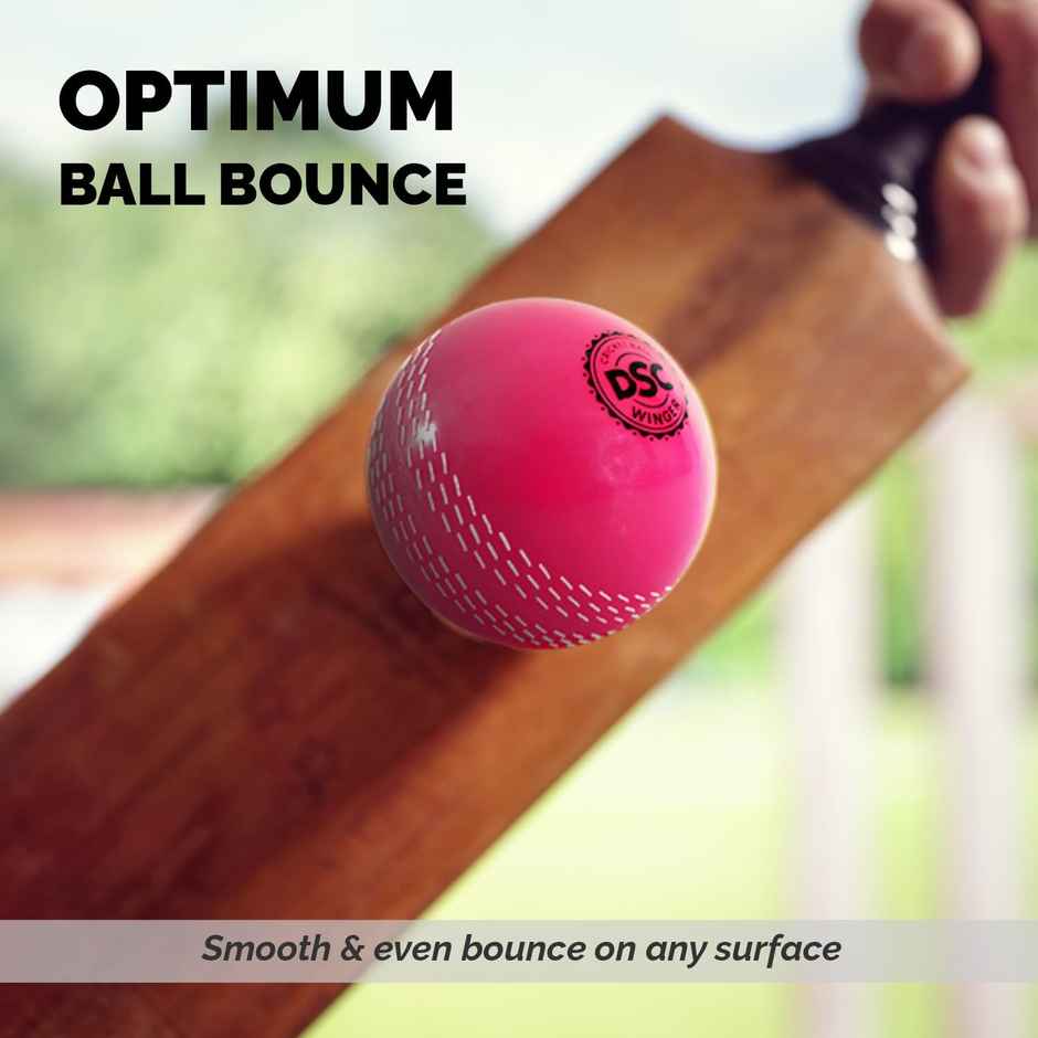 DSC Winger i10 Windball Cricket Pink