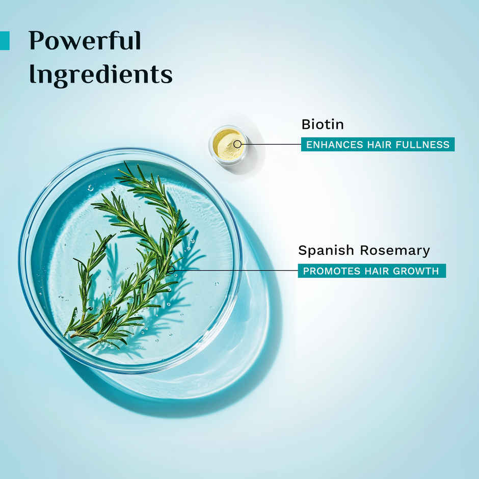 Pilgrim Spanish Rosemary & Biotin Hair Growth Oil helps Control Hairfall & strengthens Hair