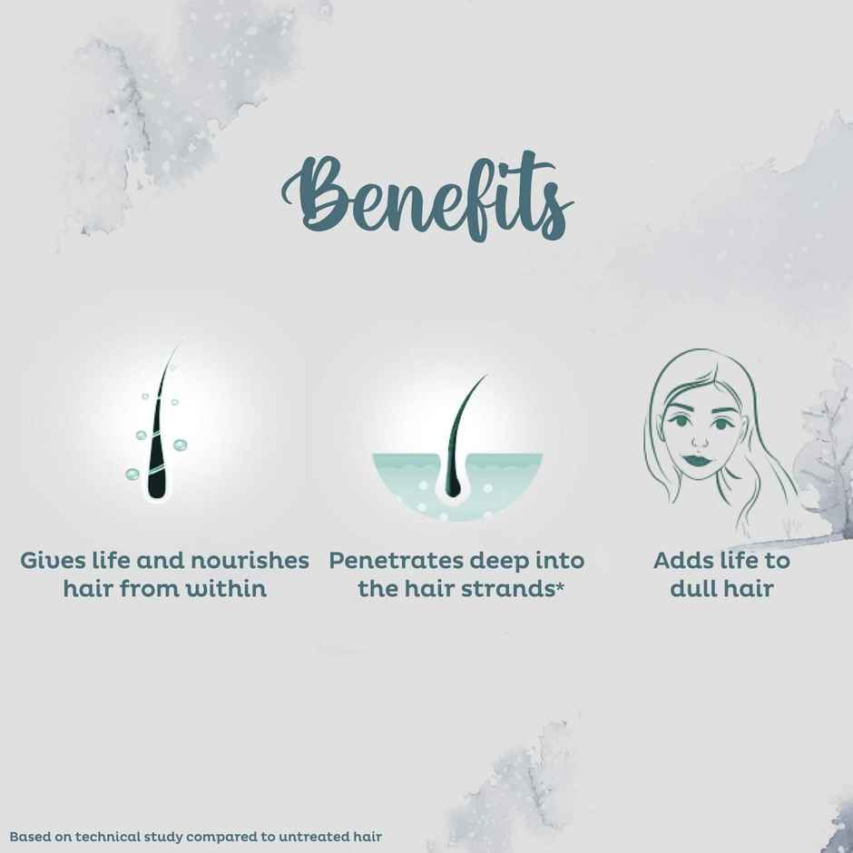 Parachute Advansed Ayurvedic Hot Oil Warming Coconut Hair Oil