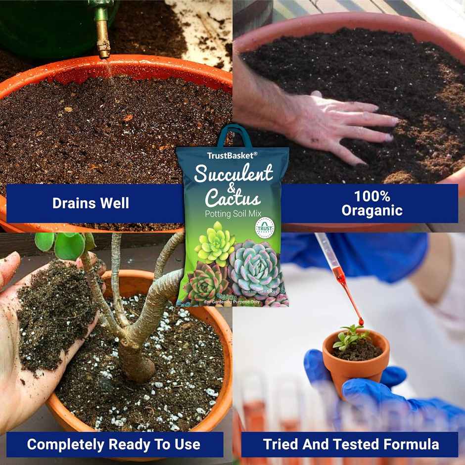 TrustBasket Succulent Potting Mix | Well-Drained Soil for Cactus, Pots & Planters