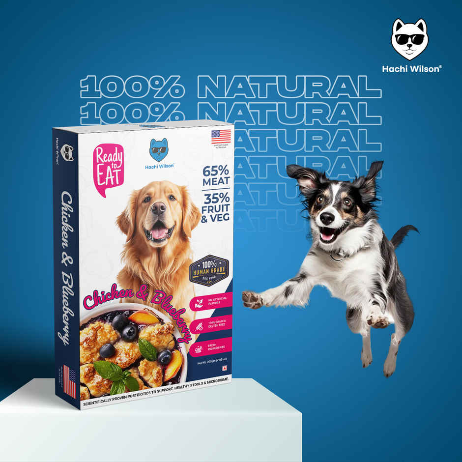 Hachi Wilson Fresh Wholesome Dog Food | Super Healthy food - Chicken & Blueberry