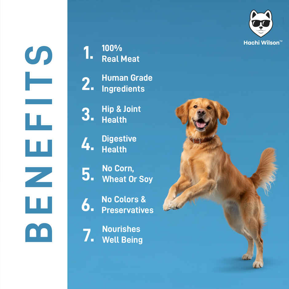 Hachi Wilson Premium Chicken & Liver chucks in gravy