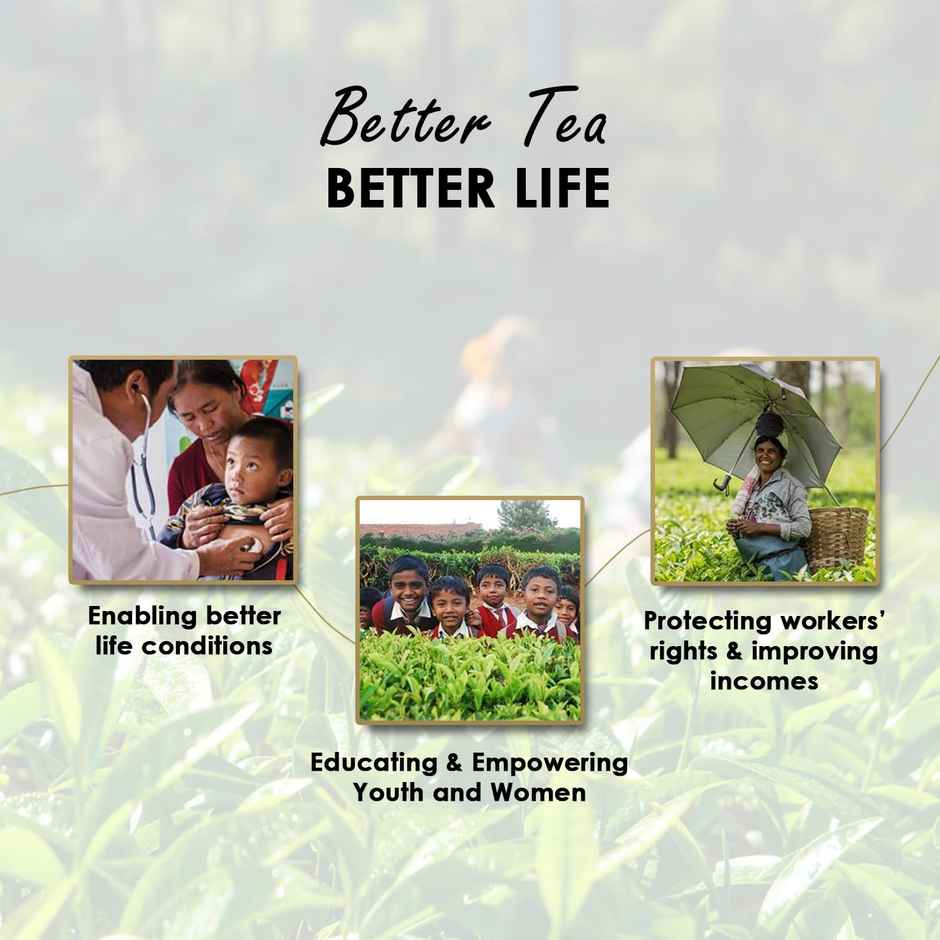 Twinings Assam Tea Premium Black Tea