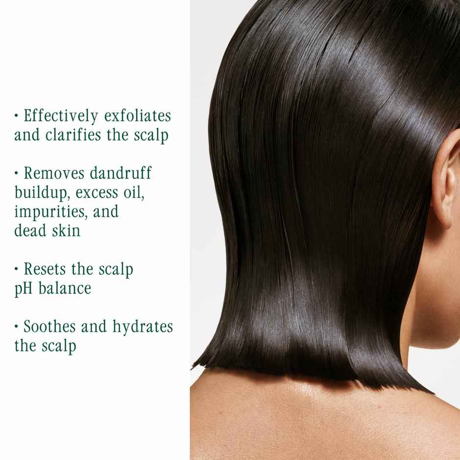 Biolage Scalp Sync Purifying Concentrate, Exfoliating & Clarifying Dry Scalp Treatment