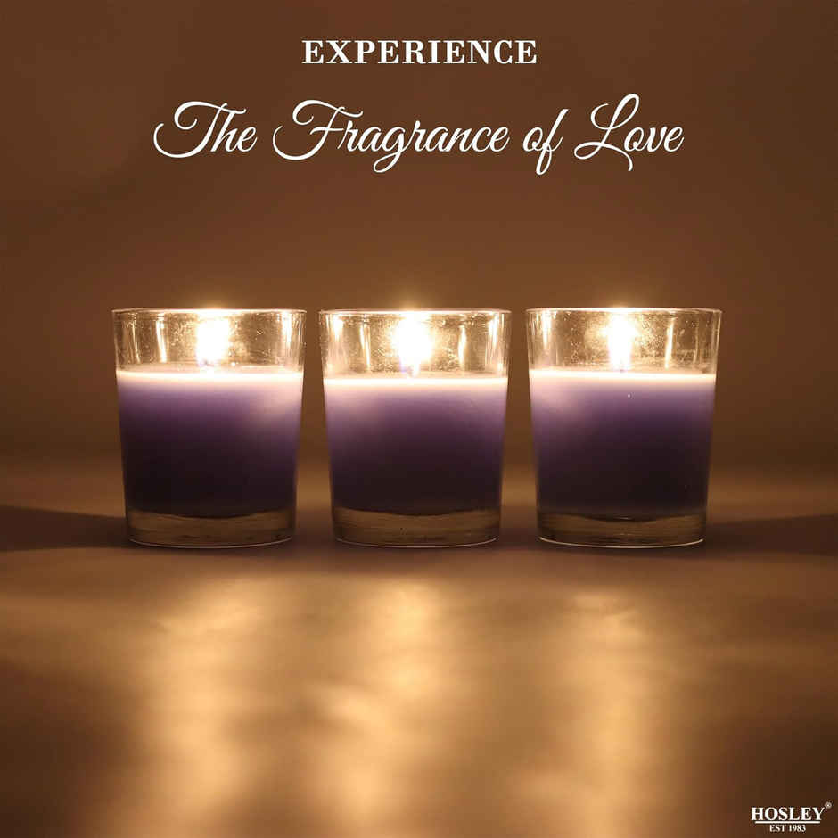 Scented Glass Votive Candles | Lavender | Pack of 3 | Samsidhi