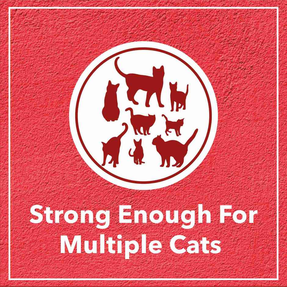 Drools Clumping Lavender Fragrance Pet Cat Litter (For Multiple Cats)