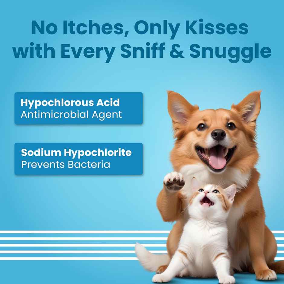 Bark Out Loud Anti-Microbial Spray for Dogs and Cats | Treats Itching ,Hotspot, Wounds