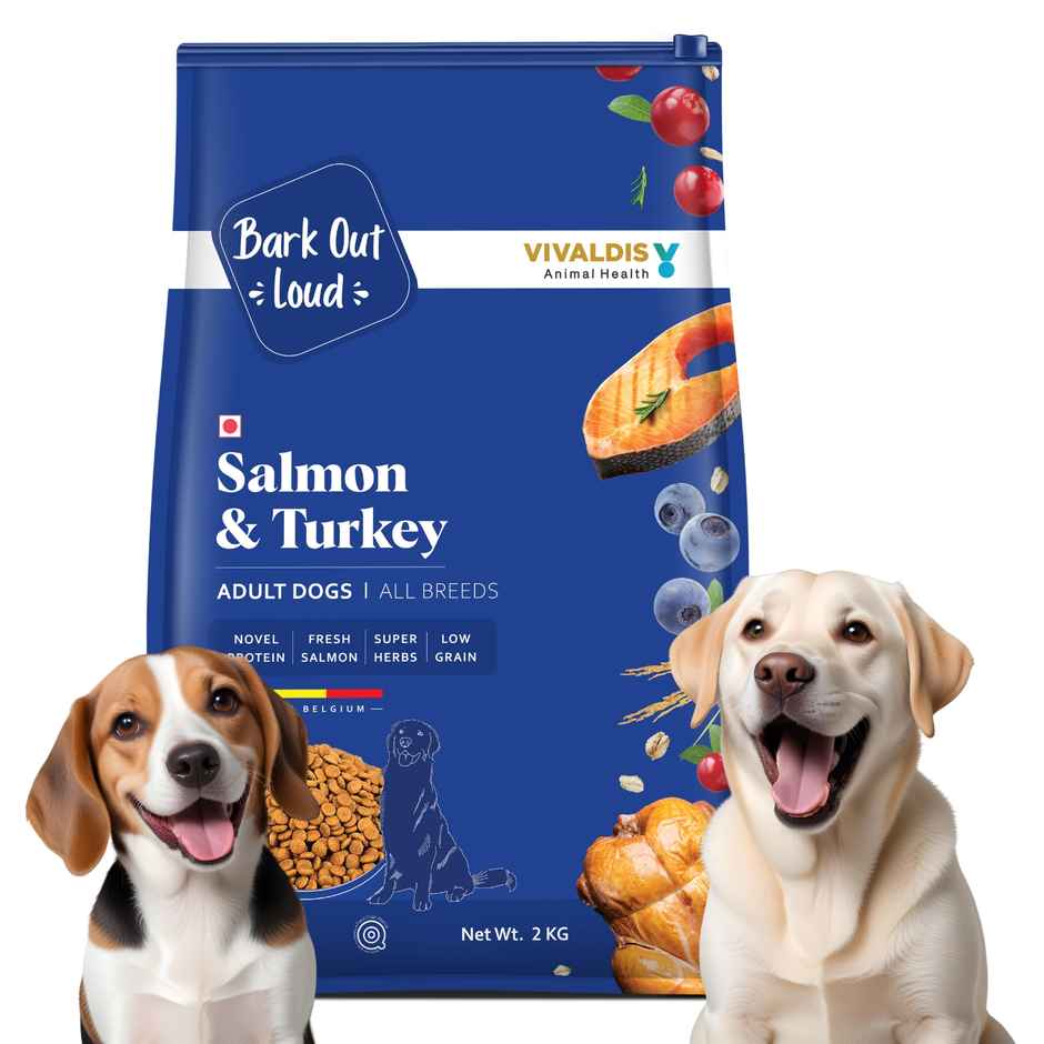 Bark Out Loud | Salmon And Turkey Dog Food For Medium / Large Breed (2kg) & Bark Out Loud Mini Fishes Dog Treats - No Grain & Hypoallergenic Snack For Dogs (100g) Combo
