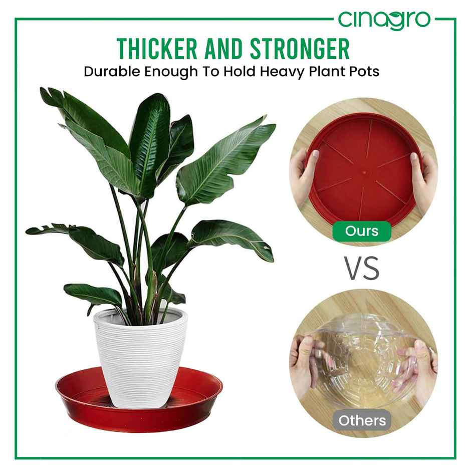 Cinagro 6 Inch Planter Bottom Trays | Durable Plastic | Plant Drip Trays/Saucer