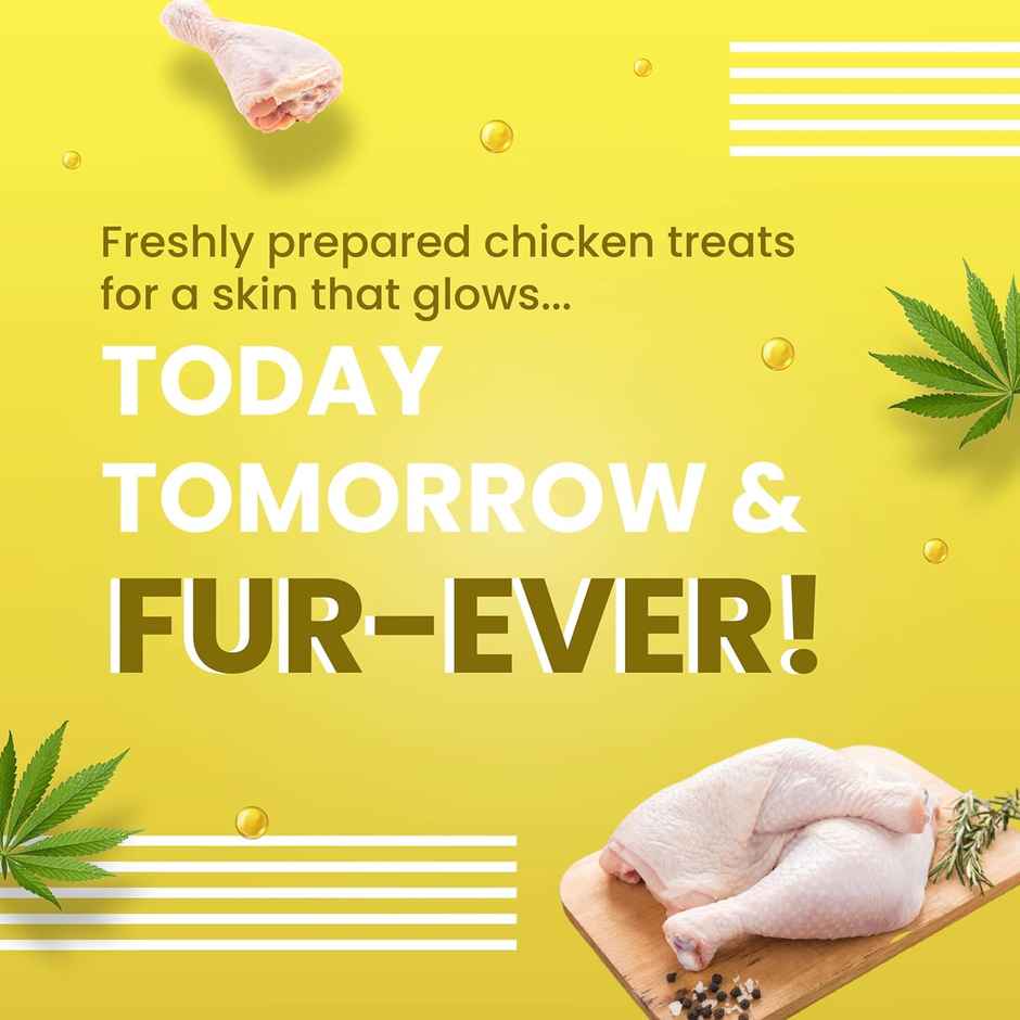 Bark Out Loud Dog Treat & Cat Treat | Hemp Chewstix with Omega & Zinc to Boost Health