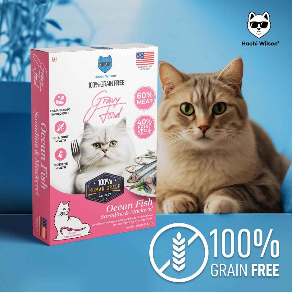 Hachi wilson Premium Ocean fish Sardine and Mackerel Gravy Cat food