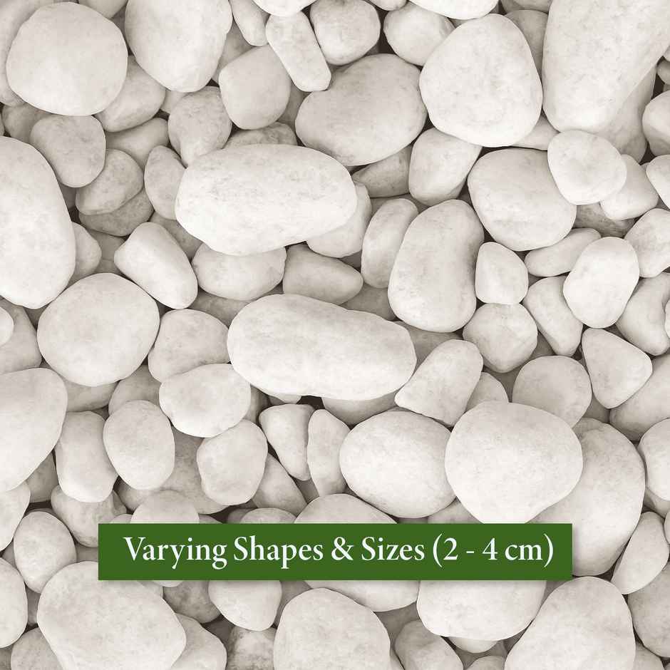 Trustbasket White Pebbles - 1 Kg