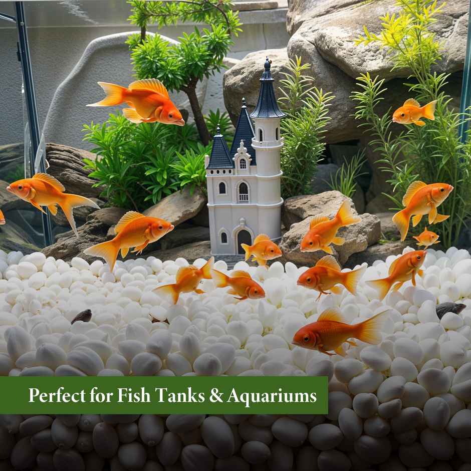 Trustbasket White Pebbles - 1 Kg