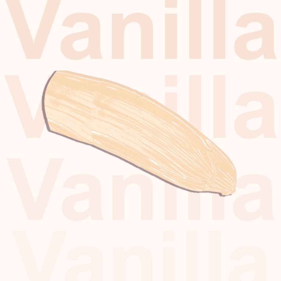 Daily Life Forever52 Complete Coverage Concealer Cov001