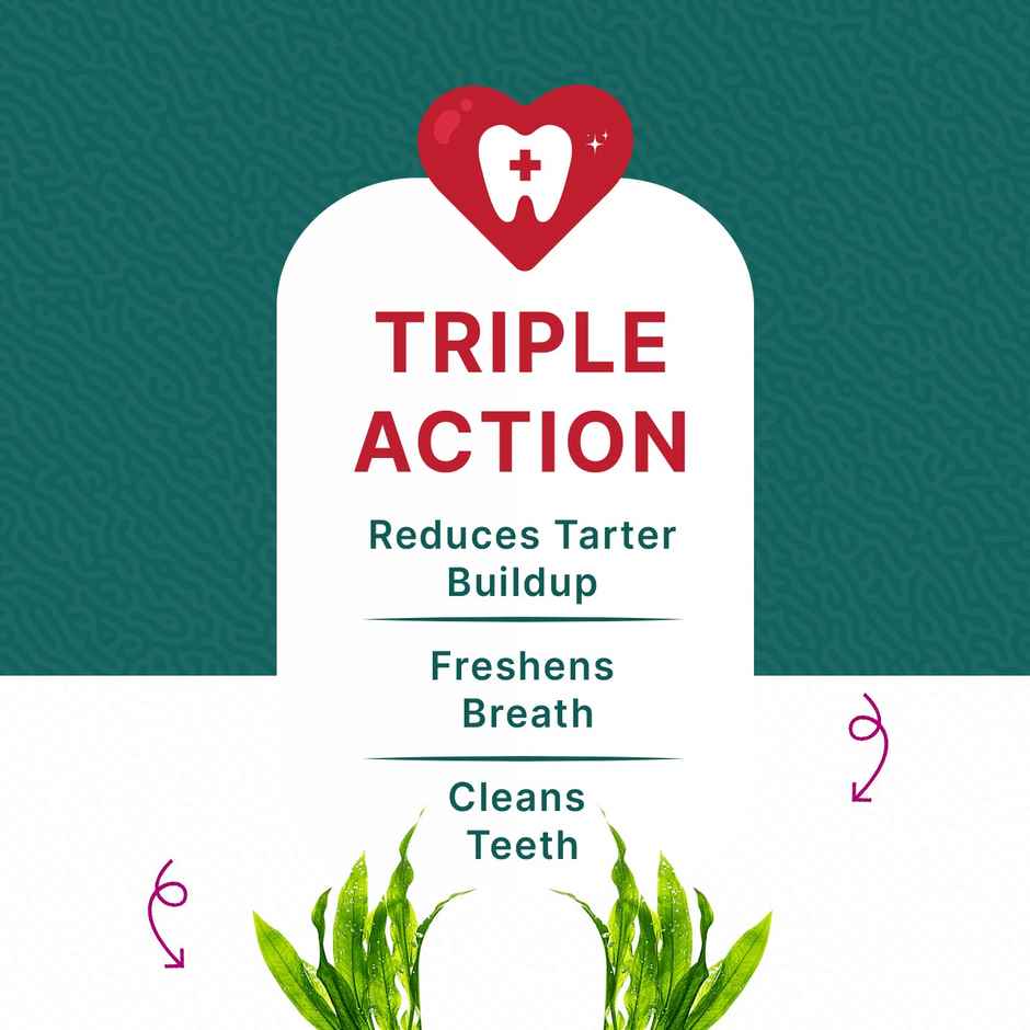 Goofy Tails Active Dental Sticks | Seaweed | Vegetarian Dental Dog and Puppy Treat