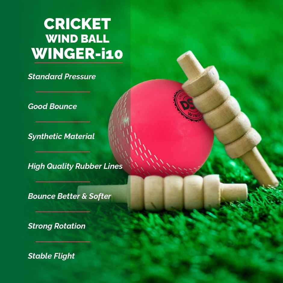 DSC Winger i10 Windball Cricket Pink