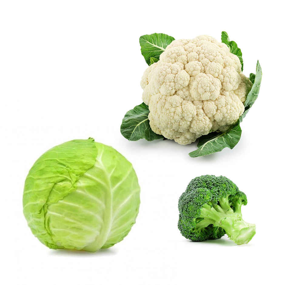 Cabbage & Cauliflower & Broccoli