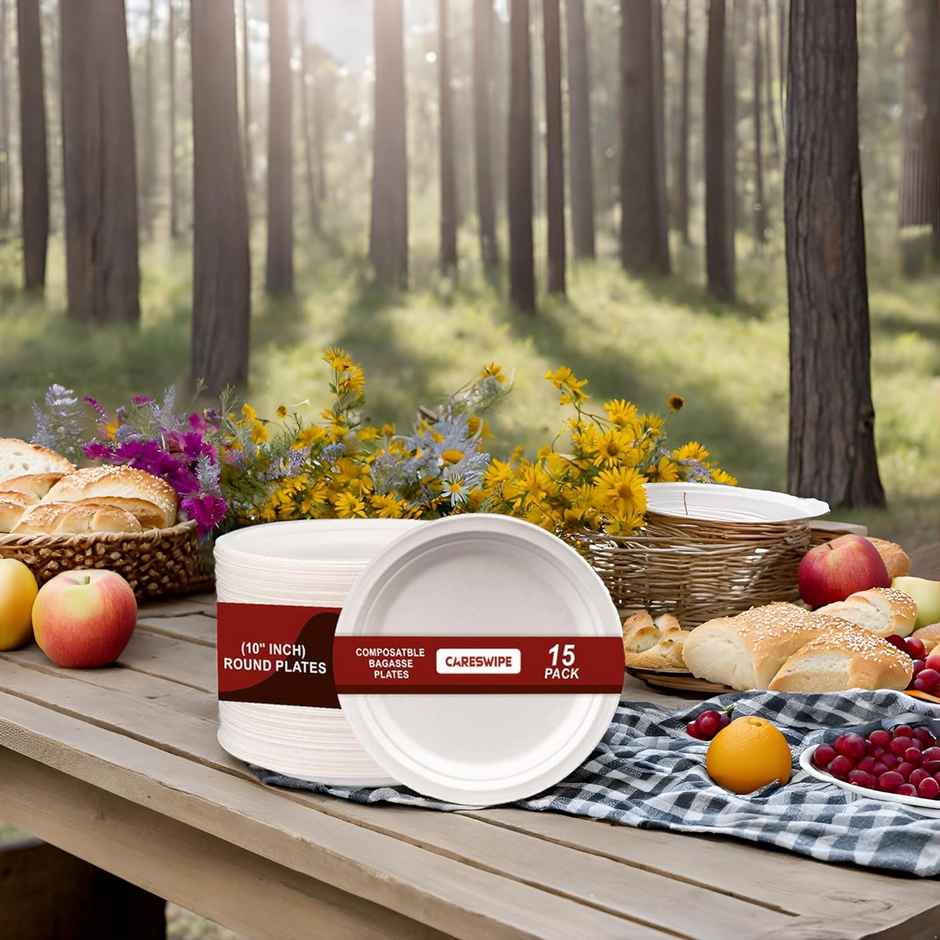 Disposable Round Plate | 10 inch | 15 pcs | Careswipe