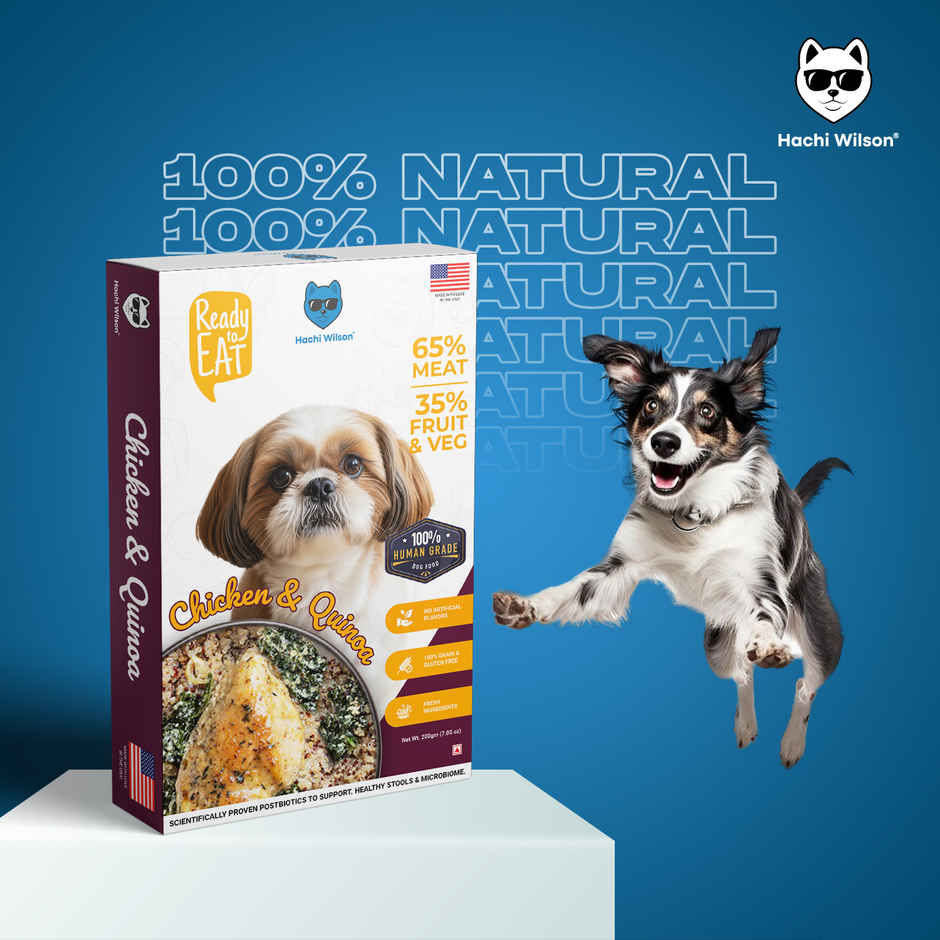 Hachi Wilson Fresh Wholesome Dog Food | Super Healthy food with Chicken and Quinoa Flavour