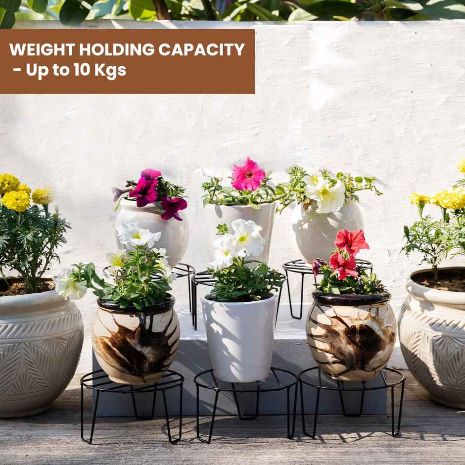 TrustBasket Eclips Stand | Black | Set of 6 | Strong Planter Stand for Balcony Garden & Home Decor