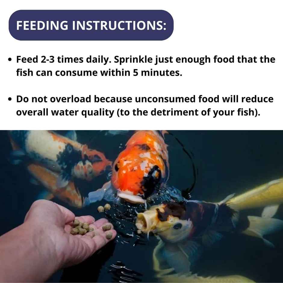 Optimum Hi-Pro Colour & Growth Small