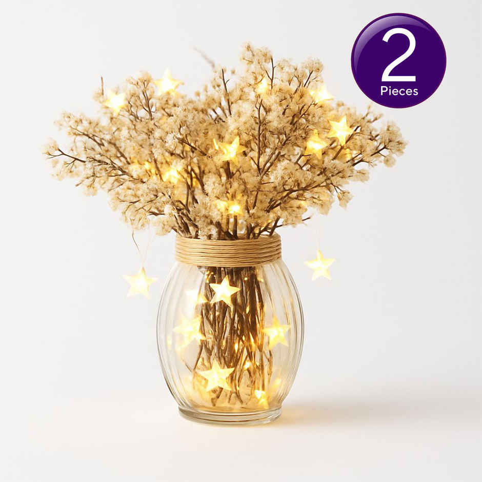 Desidiya Decorative Led String Lights With 20 Stars | Warm White | Starry Night Combo | 4 m