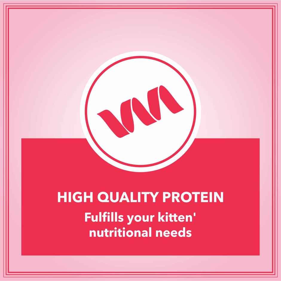 Let'S Bite Active Adult Dry Cat Food - Ocean Fish (Buy 1 Get 1 Free)