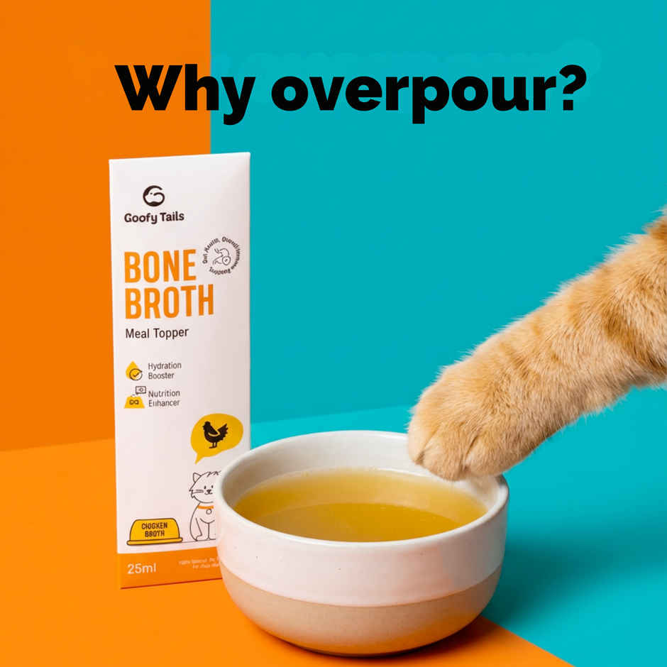 Goofy Tails Chicken Bone Broth for Cats | Collagen Rich Cat and Kitten Food Topper