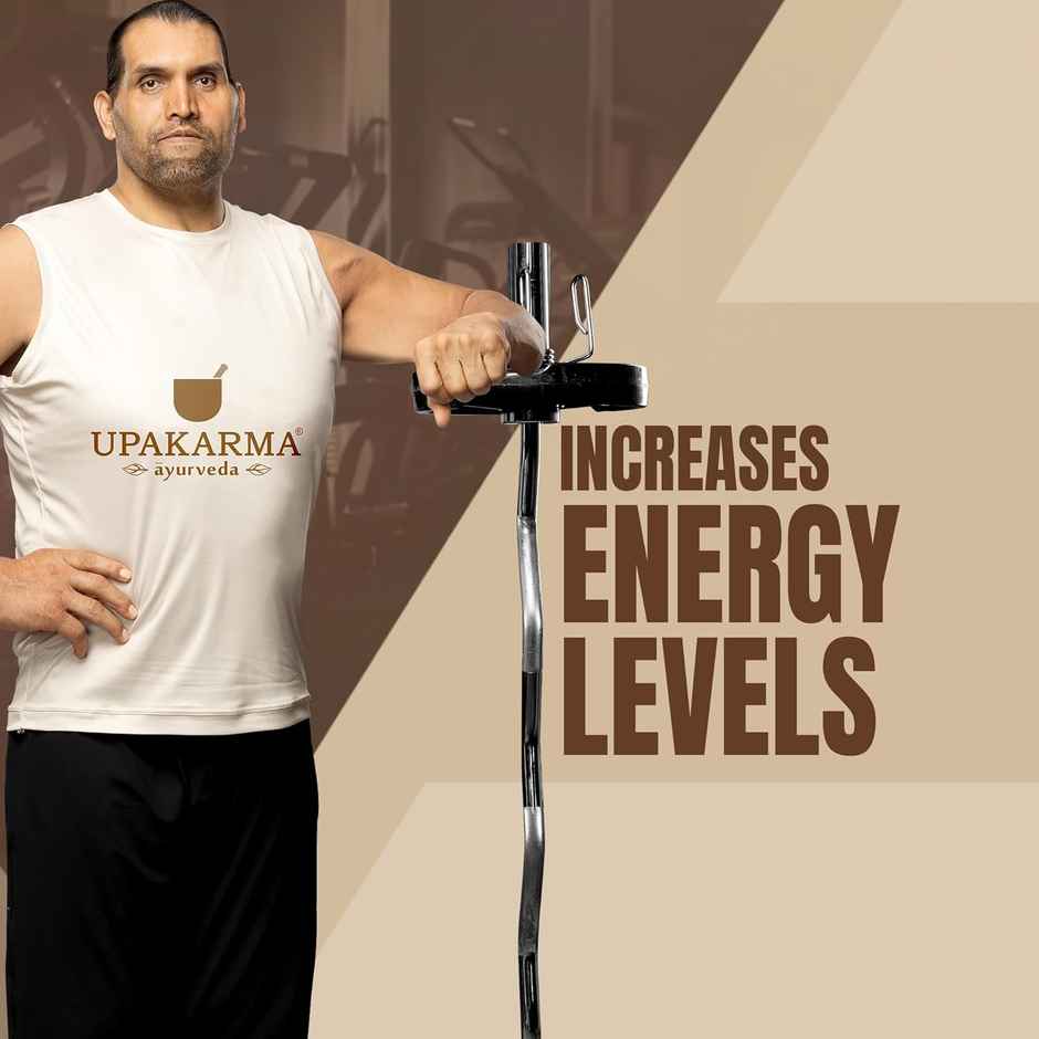 Upakarma Pure Shilajit Resin