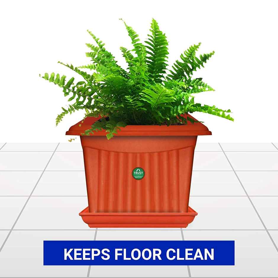 TrustBasket UV Treated Square Tray for 6 Inch Pots | Terracotta | Durable Plant Tray