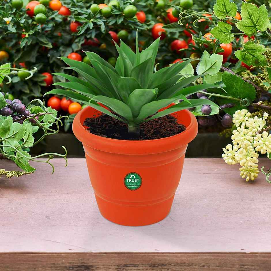TrustBasket Plastic Round Pot 10 Inch | UV Treated Terracotta Planters for Use