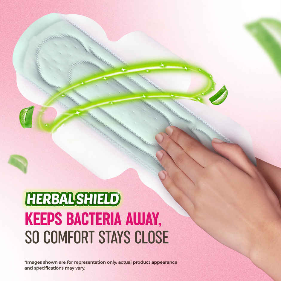 Sofy AntiBacteria XL Sanitary Pads | 6 Layer Deep Absorption | 290mm