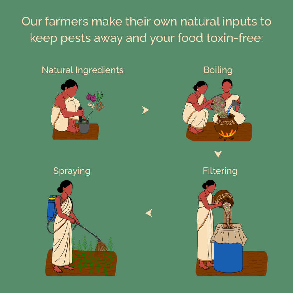 Safe Harvest Pesticide-Free Barnyard Millet / Samak Rice