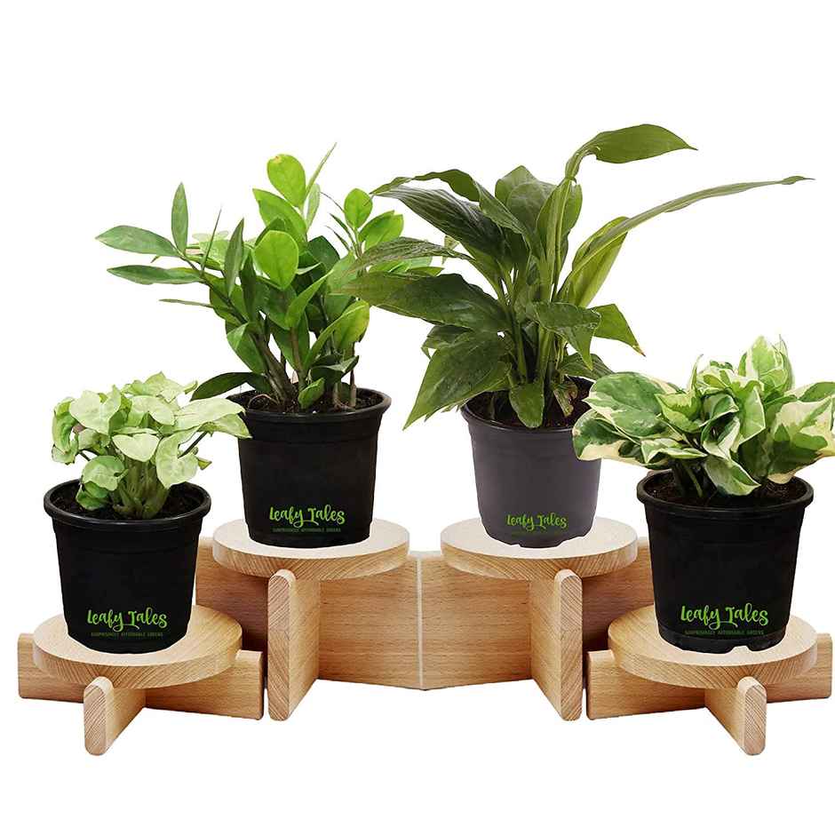 Leafy Tales Plastic Pots, Black 4 Inch Size 15 Piece, Small