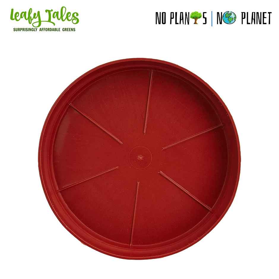 Leafy Tales Plants Bottom Plate, Drip Tray For Plants, Gamla, (8-Inch, Brown, Set Of 8)