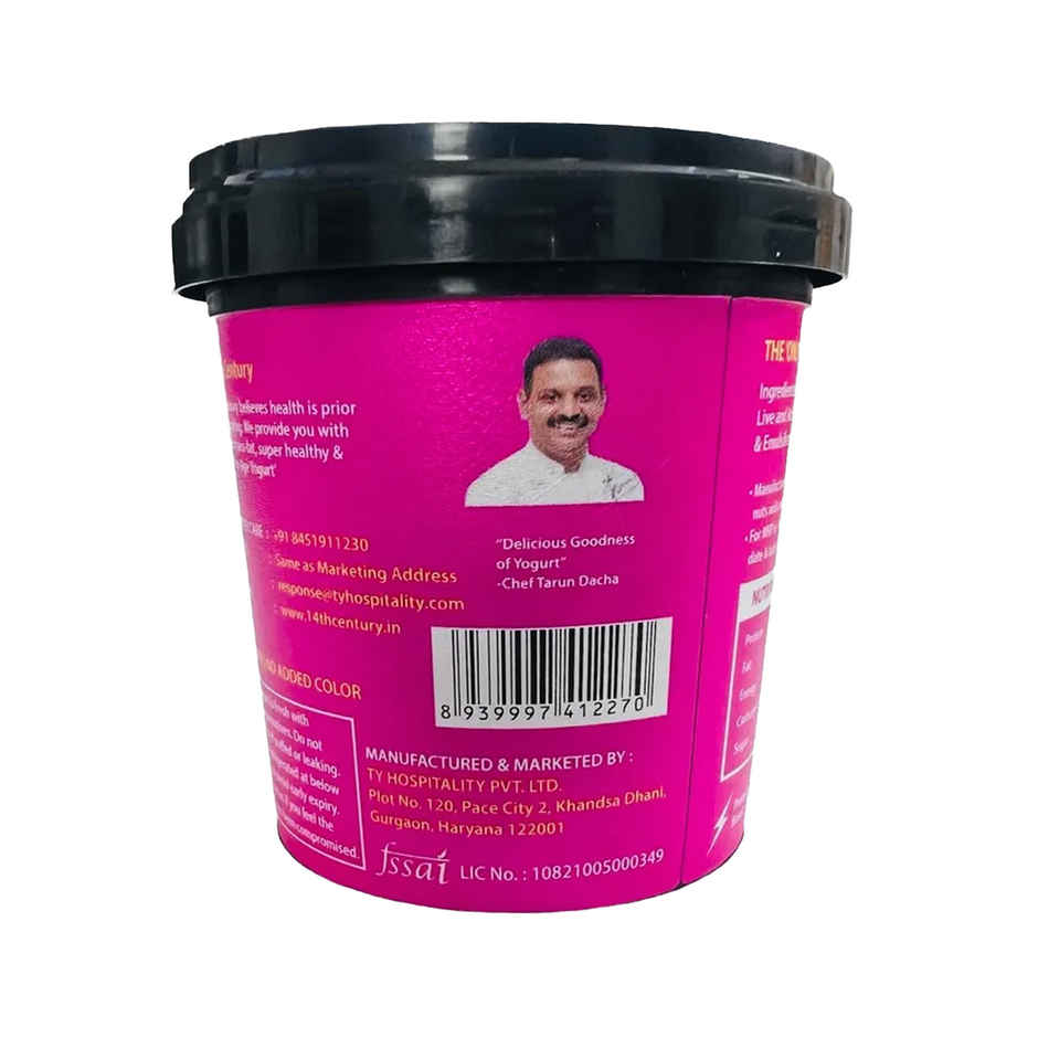 14Th Century Frozen Yogurt Wicked Berry