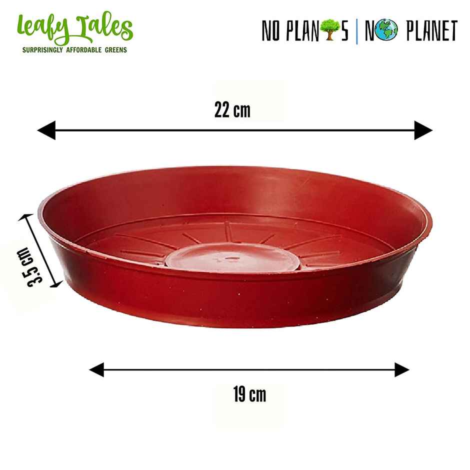 Leafy Tales Plants Bottom Plate, Drip Tray For Plants, Gamla, (8-Inch, Brown, Set Of 8)