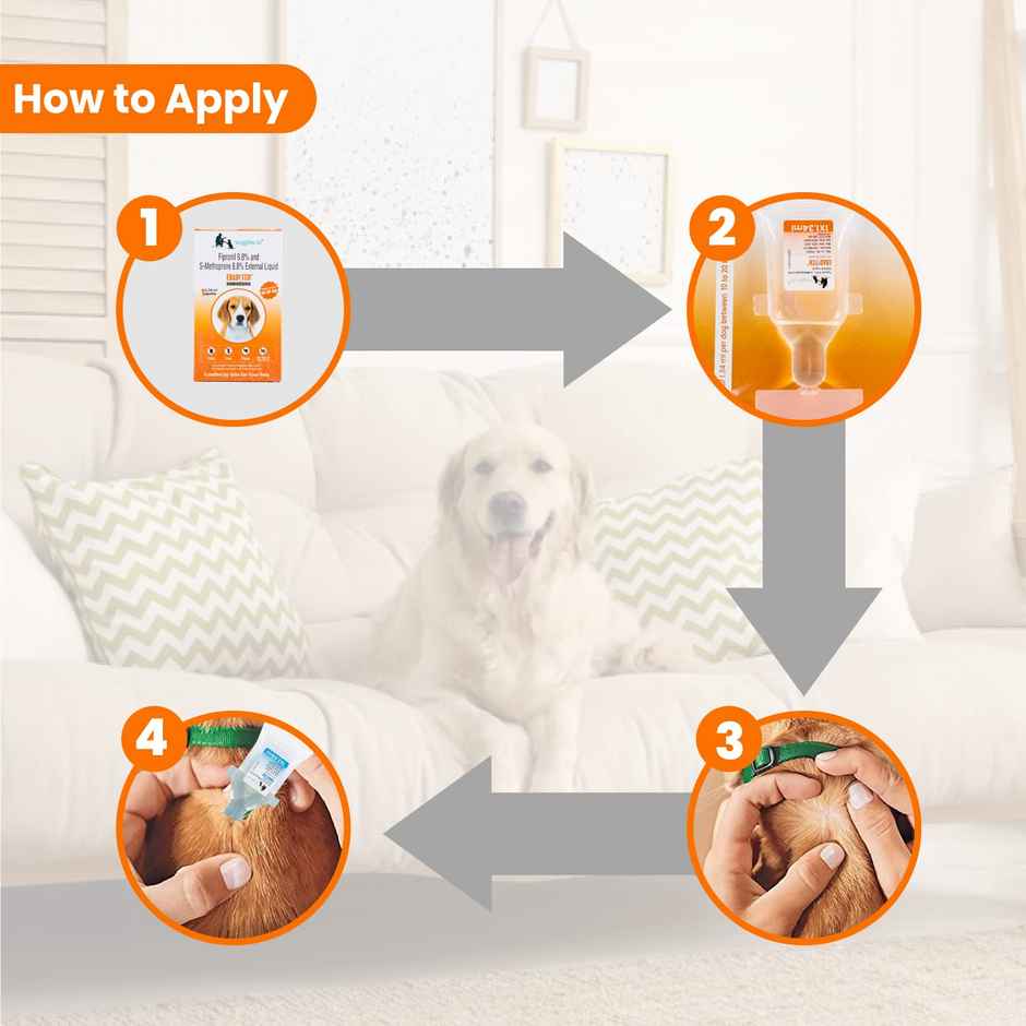 WIGGLES Eraditch Spot on for Dogs Fleas Ticks Remover Treatment Solution Drops, Adult Medium Dogs (10kg to 20kg)